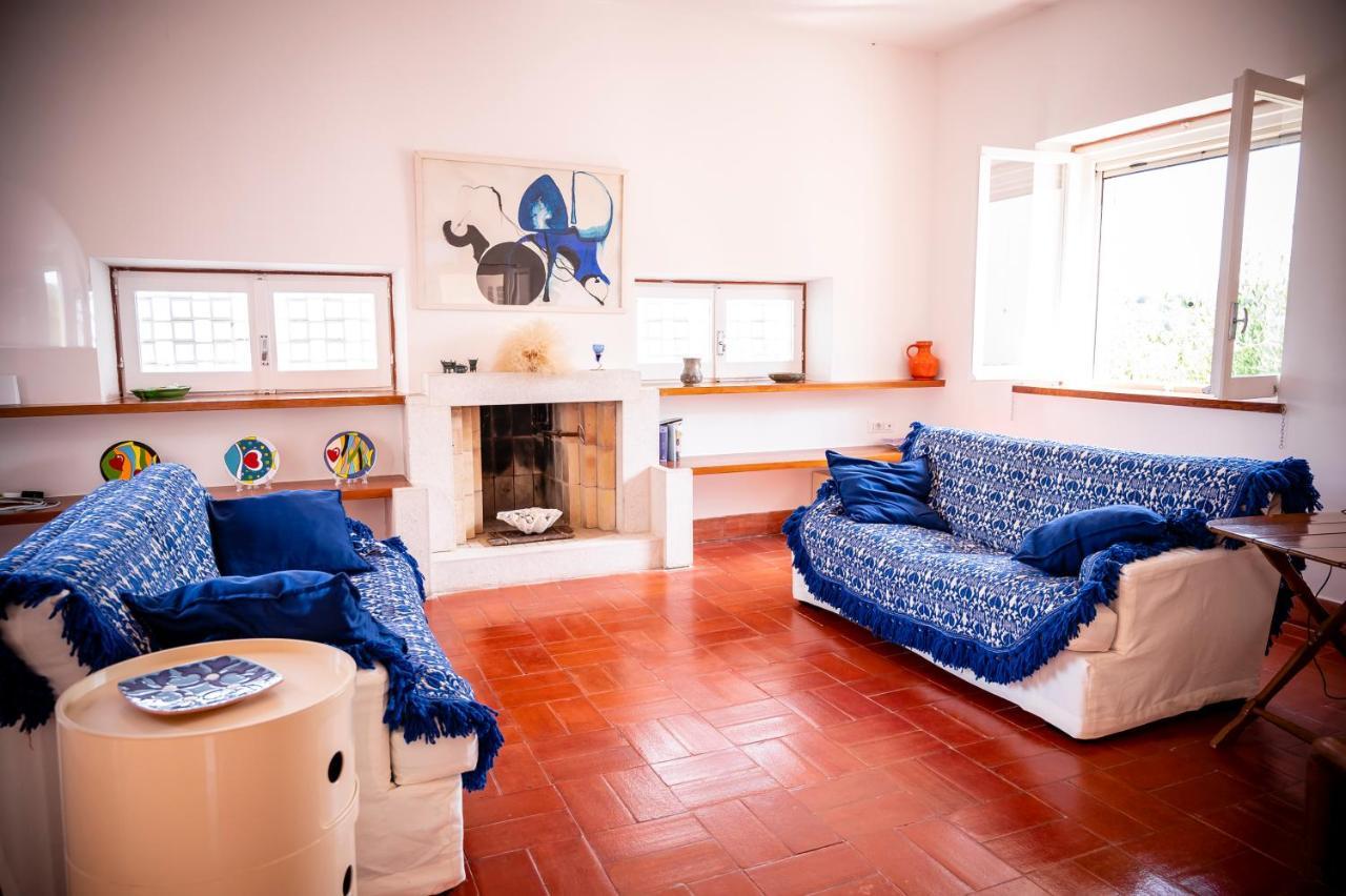 B&B Casabianca Palinuro Dış mekan fotoğraf