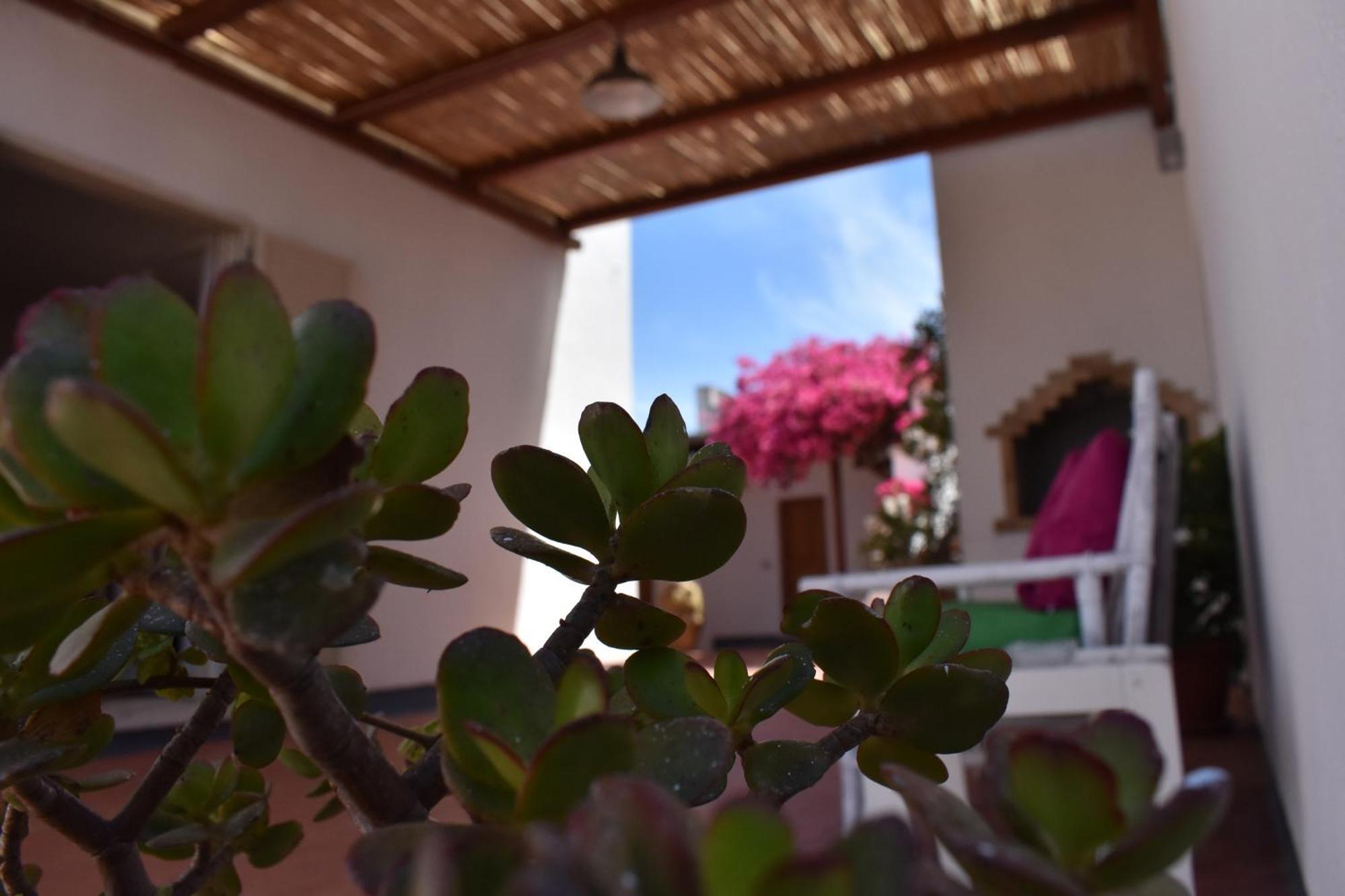 B&B Casabianca Palinuro Dış mekan fotoğraf