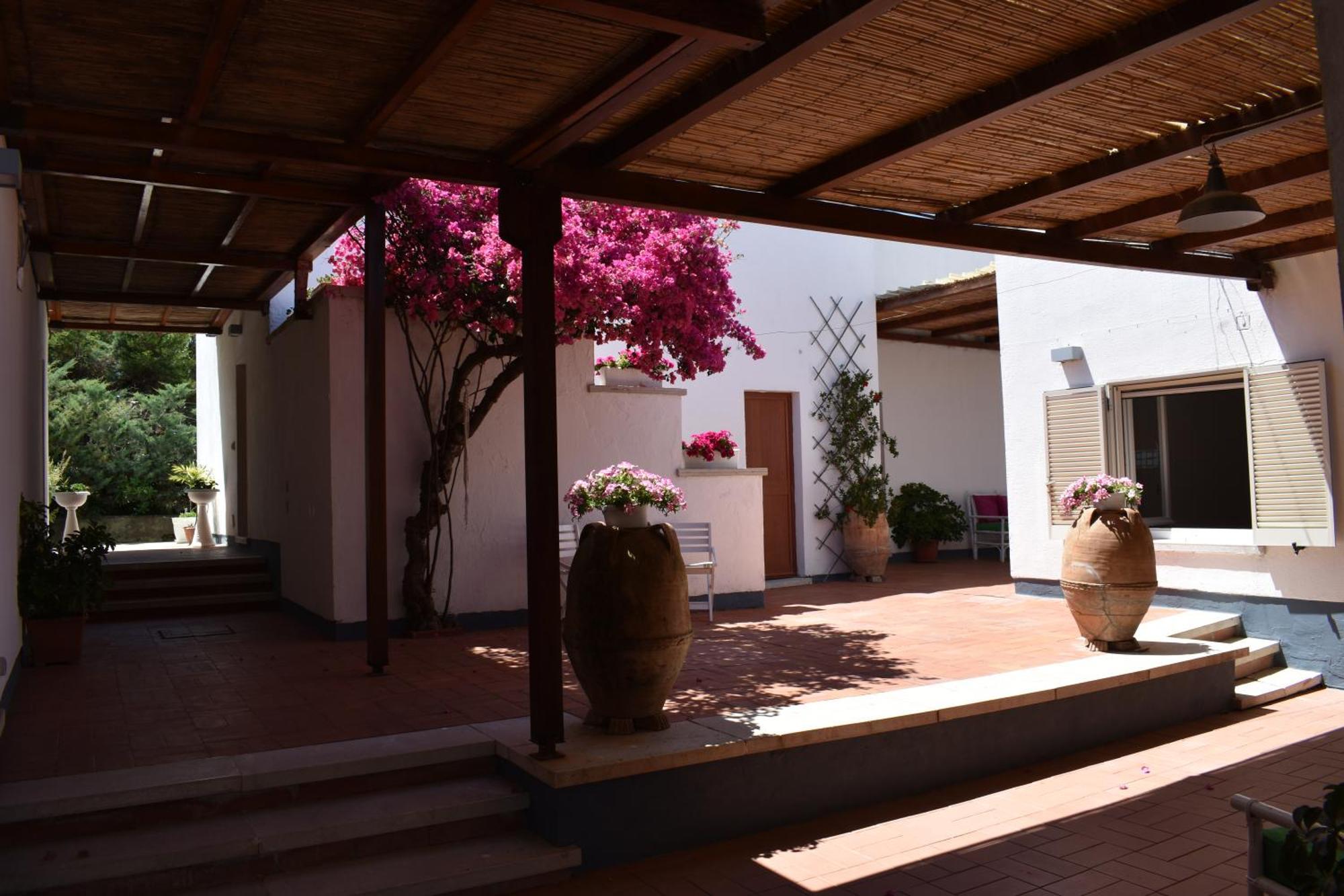 B&B Casabianca Palinuro Dış mekan fotoğraf