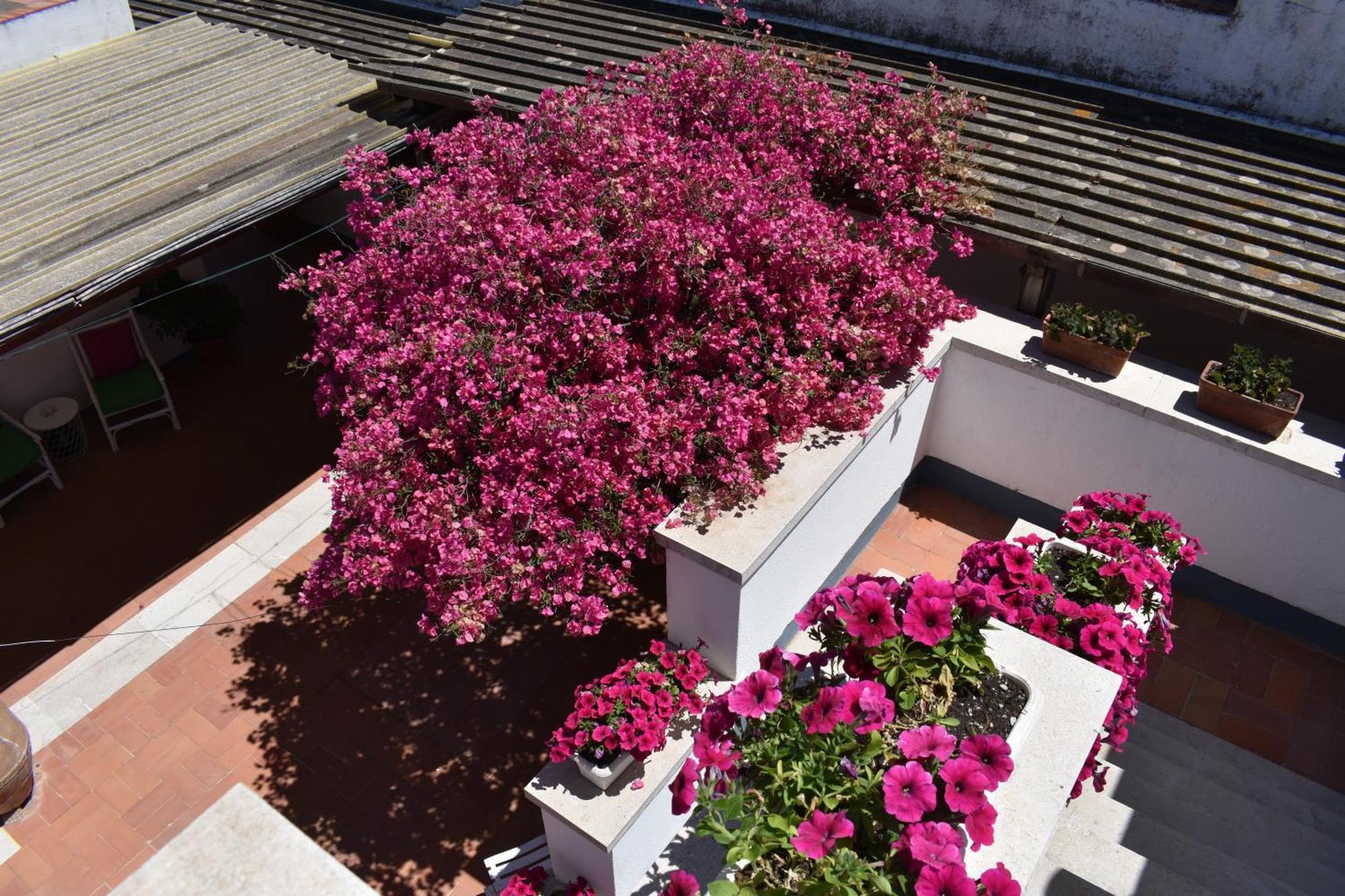 B&B Casabianca Palinuro Dış mekan fotoğraf